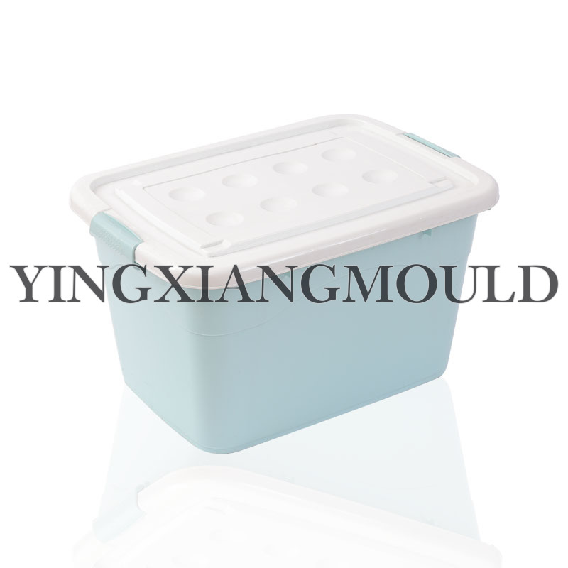 Extra large thick storage box