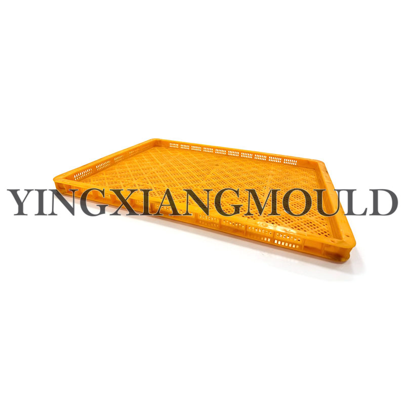 Cold Storage Trays