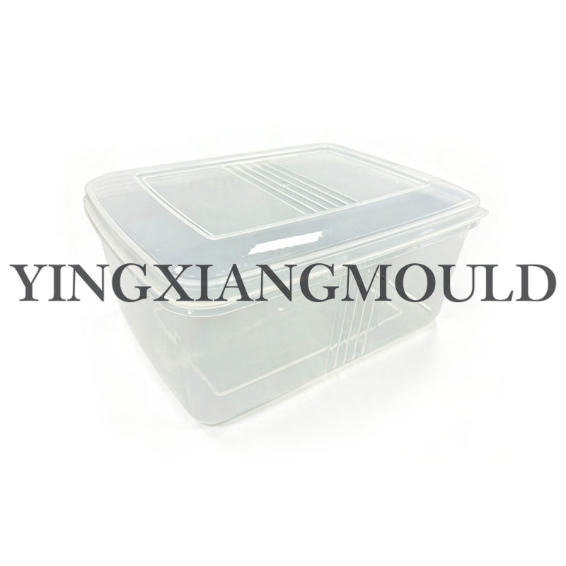 Large Food Container